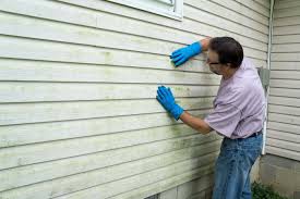 Affordable Siding Repair and Maintenance Services in Bridgman, MI